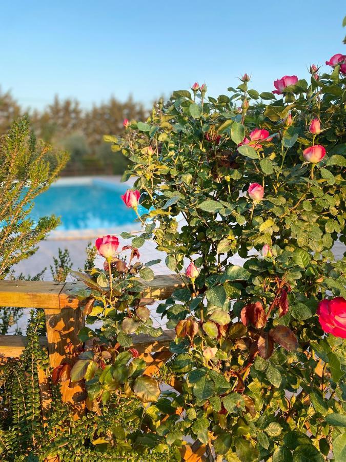 Agriturismo Le Giare Bagno Roselle Luaran gambar