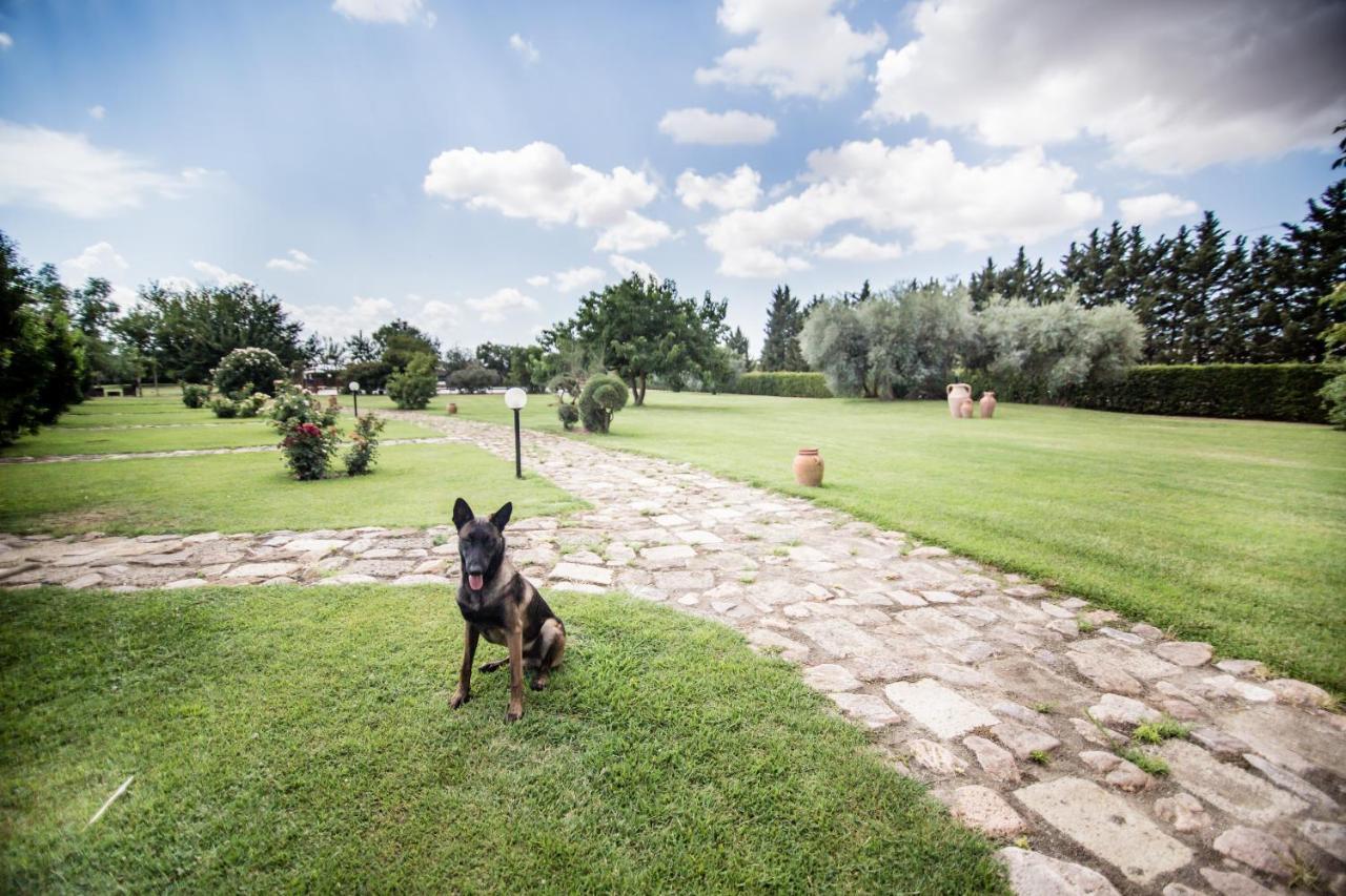Agriturismo Le Giare Bagno Roselle Luaran gambar